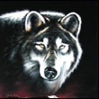 ecaridav's Avatar