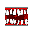 ydyheher's Avatar