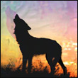 ezorasen's Avatar